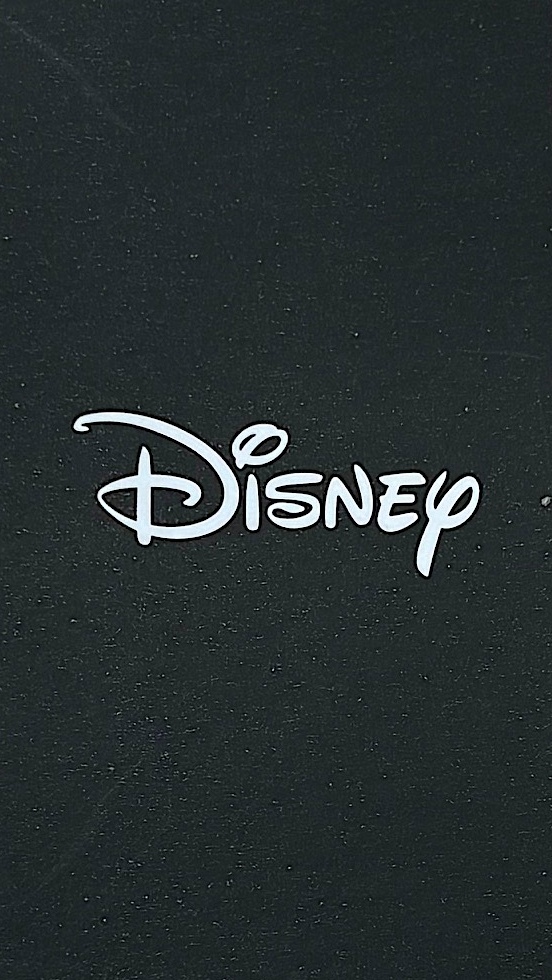 即決 Mサイズ レディース★新品タグ付 Disney ディズニー★ミッキーマウス ドナルドダック 刺繍★裏起毛 トレーナー/br★¥3278_画像6