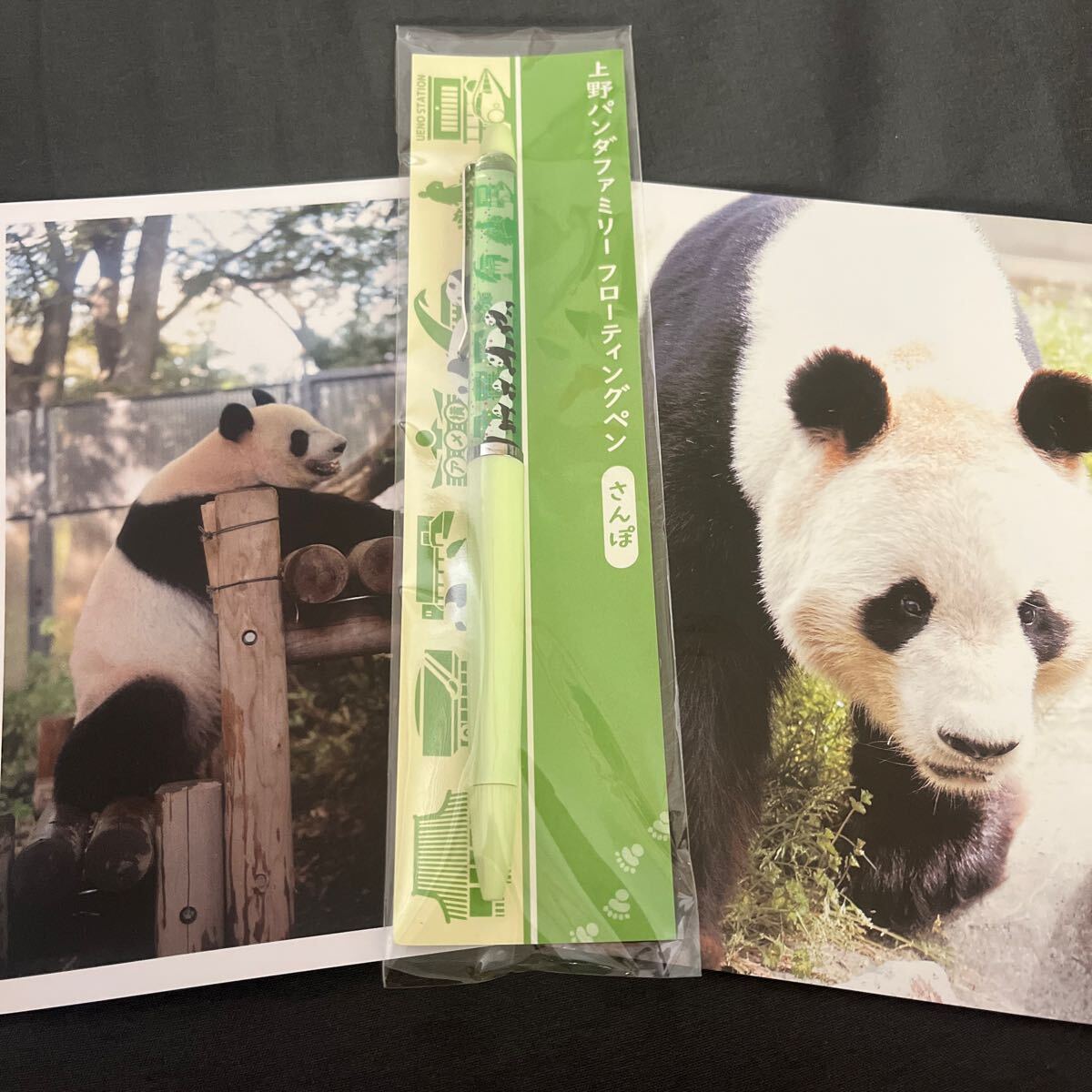 神戸市立王子動物園 ジャイアントパンダ ポストカードタンタン 受注オーダー 公式ポストカード 上野パンダファミリー フローティングペン