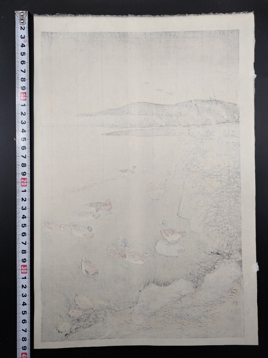 真作】小原古邨 祥邨「鴨之図」昭和六年作 当時物 渡辺版画舗 真作】小原古邨 祥邨「鴨之図」昭和六年作 当時物 渡辺版画舗
