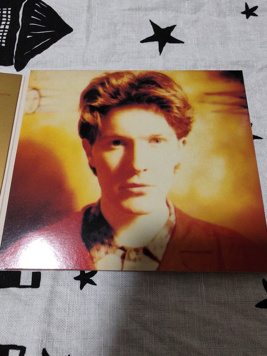 【中古】 Alchemy デイヴィッド・シルヴィアン 廃盤◇DAVID SYLVIAN / ALCHEMY AN INDEX OF POSSIBILITIES