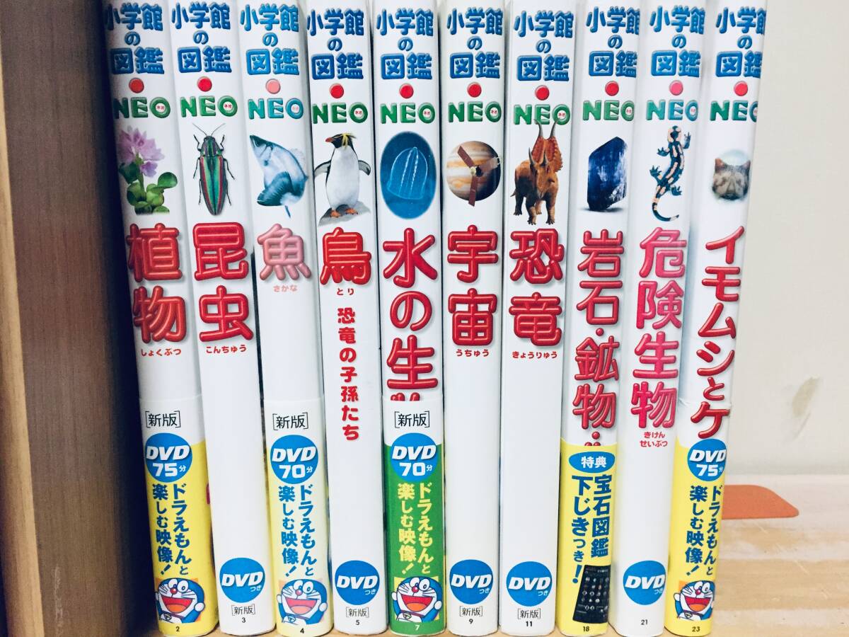 DVD付き 小学館の図鑑NEO 新版 10冊セット|Yahoo!フリマ(旧 DVD付き 小学館の図鑑NEO 新版 10冊セット|Yahoo!フリマ(旧