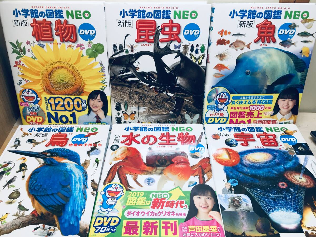 DVD付き 小学館の図鑑NEO 新版 10冊セット|Yahoo!フリマ(旧 DVD付き 小学館の図鑑NEO 新版 10冊セット|Yahoo!フリマ(旧