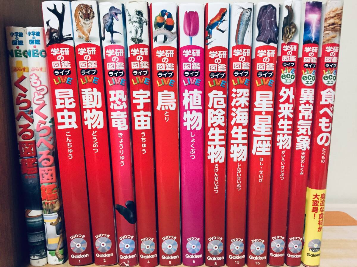 小学館の図鑑NEO くらべる図鑑・学研の図鑑LIVE ライブ DVD付き 小学館の図鑑NEO くらべる図鑑・学研の図鑑LIVE ライブ DVD付き