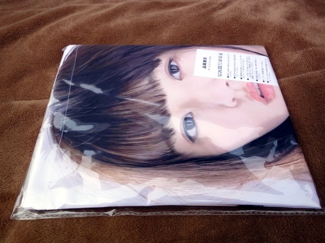 ★送料無料★　浅川梨奈　タペストリー B1(縦1030mm×横730mm)ビッグサイズ 　高品質 ・厚手ダブルスエード生地_画像3