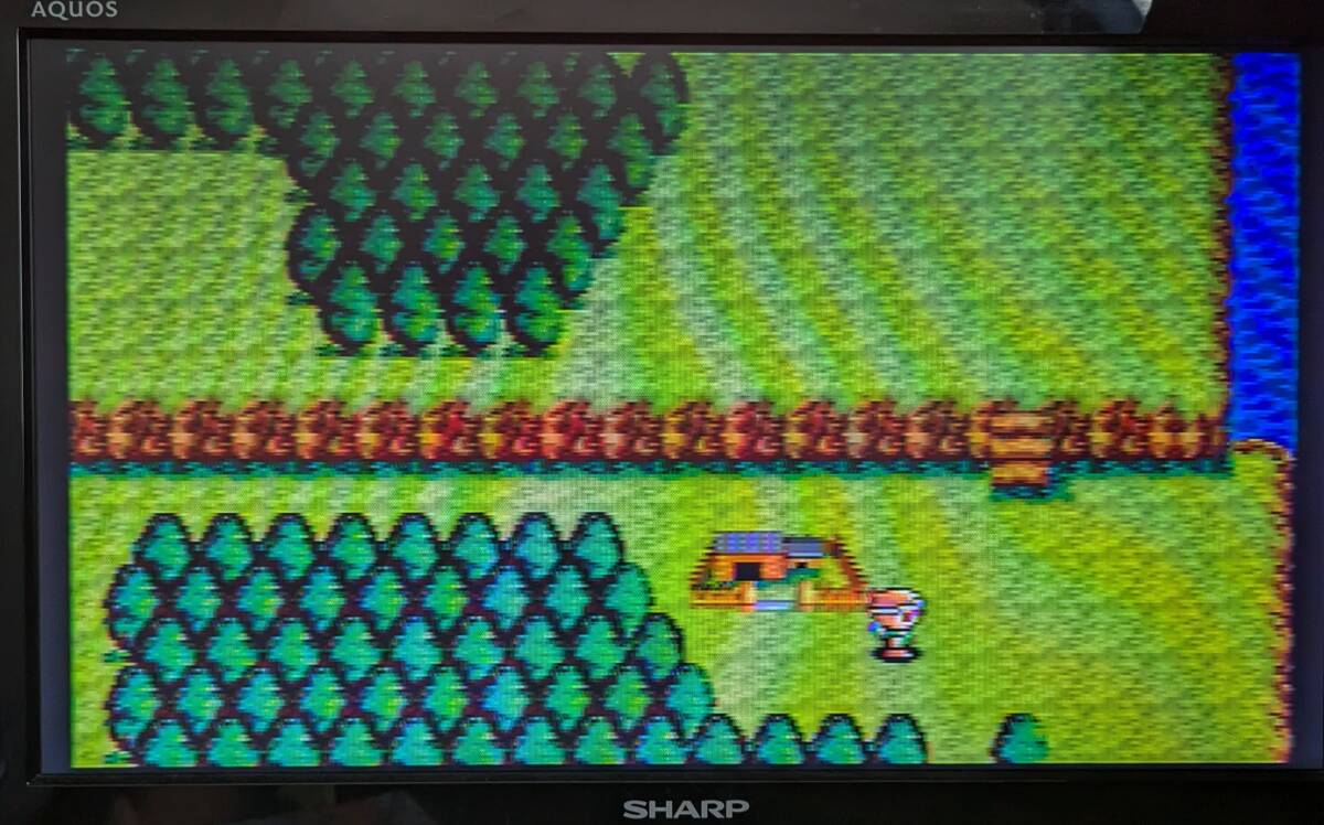 MD 悟空外傳 WUCOM GAIDEN Legend of Wukom 台湾版 (箱説なし MD 悟空外傳 WUCOM GAIDEN Legend of Wukom 台湾版 (箱説なし