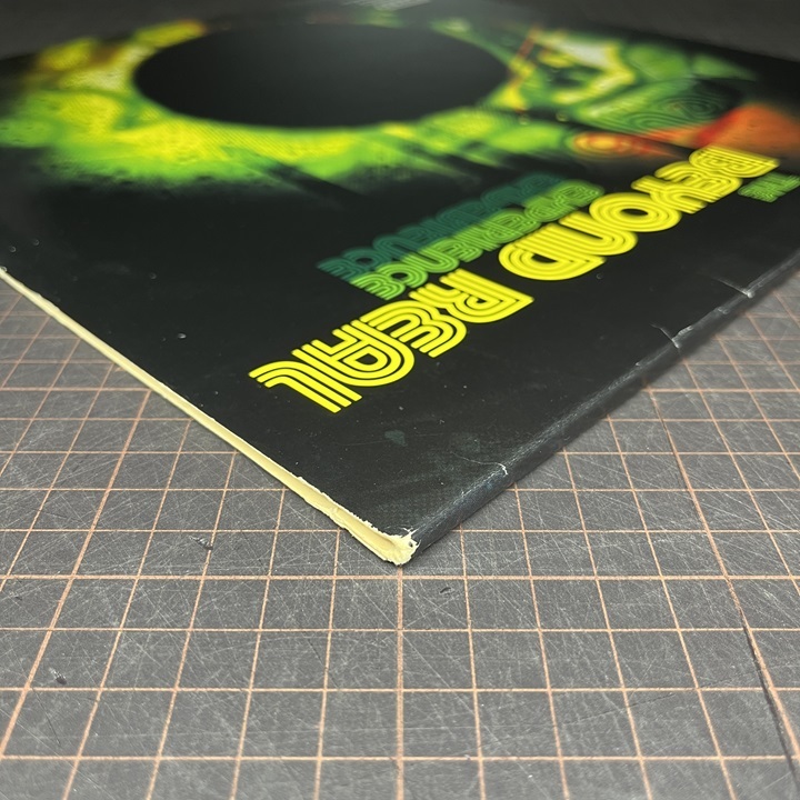 2LP V.A. THE BEYOND REAL EXPERIENCE DJ Spinna, Mr. Akil, I.G. Off & Hazadous, Basement Khemists, Dynas, Jet Black Ha_画像6