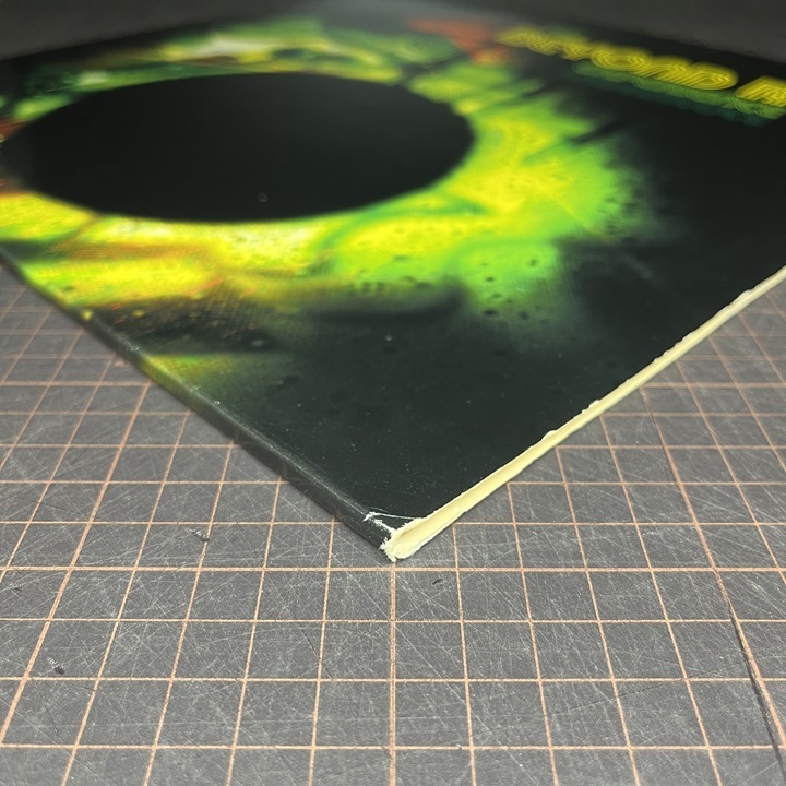 2LP V.A. THE BEYOND REAL EXPERIENCE DJ Spinna, Mr. Akil, I.G. Off & Hazadous, Basement Khemists, Dynas, Jet Black Ha_画像5