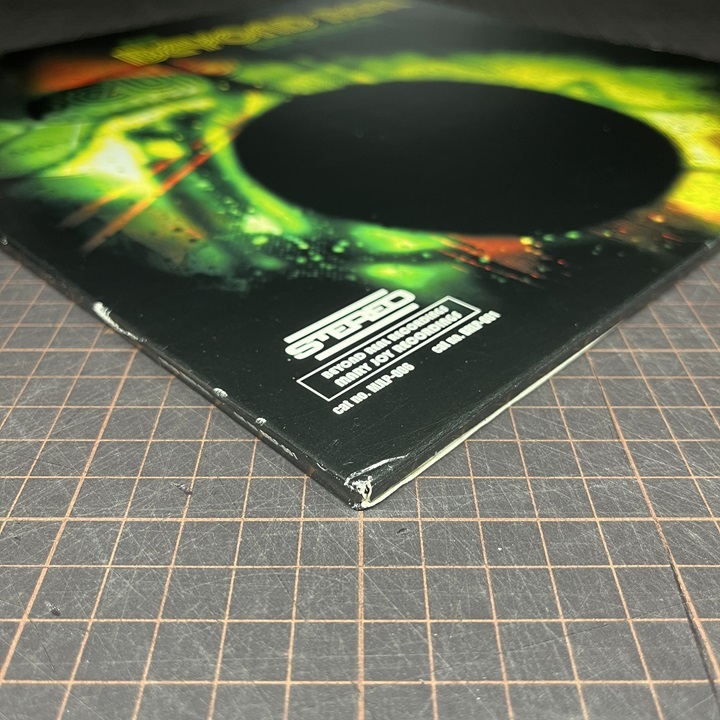 2LP V.A. THE BEYOND REAL EXPERIENCE DJ Spinna, Mr. Akil, I.G. Off & Hazadous, Basement Khemists, Dynas, Jet Black Ha_画像4