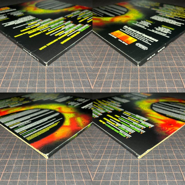 2LP V.A. THE BEYOND REAL EXPERIENCE DJ Spinna, Mr. Akil, I.G. Off & Hazadous, Basement Khemists, Dynas, Jet Black Ha_画像7