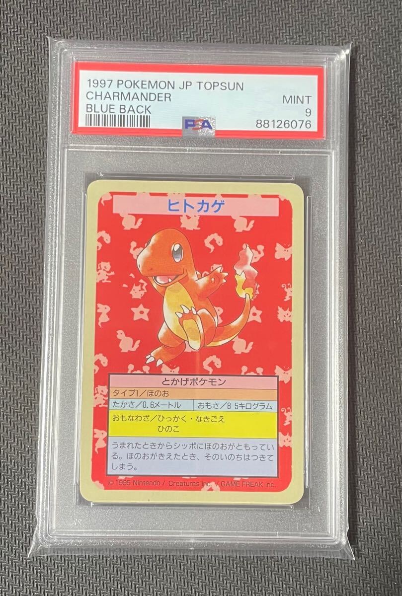 Topsun Pokemon Charmander ヒトカゲ ERROR Topsun Charmander