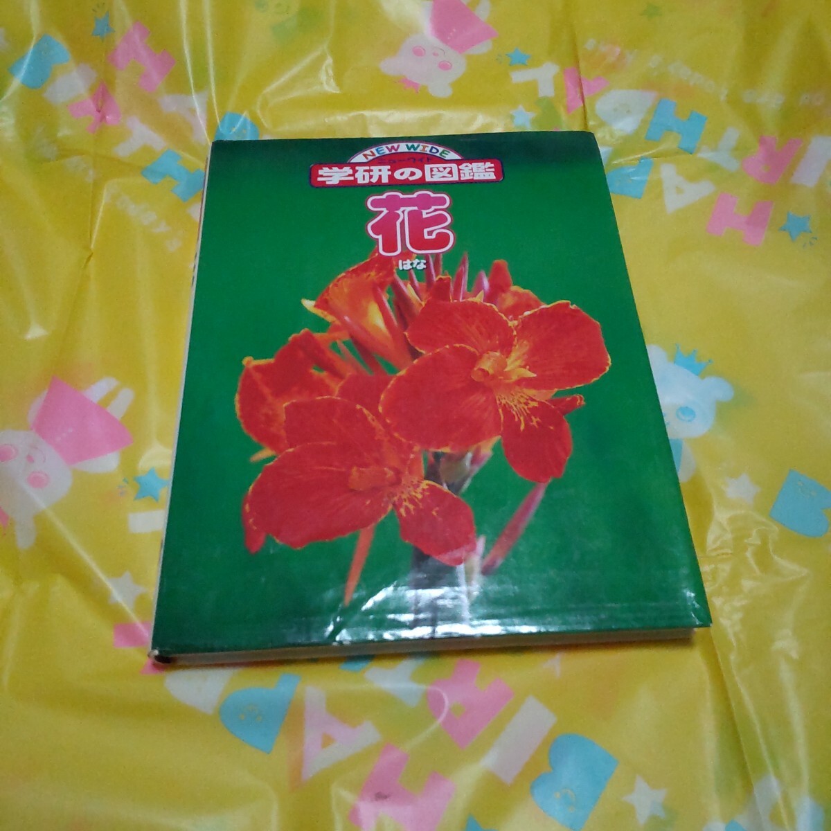 item_image_1