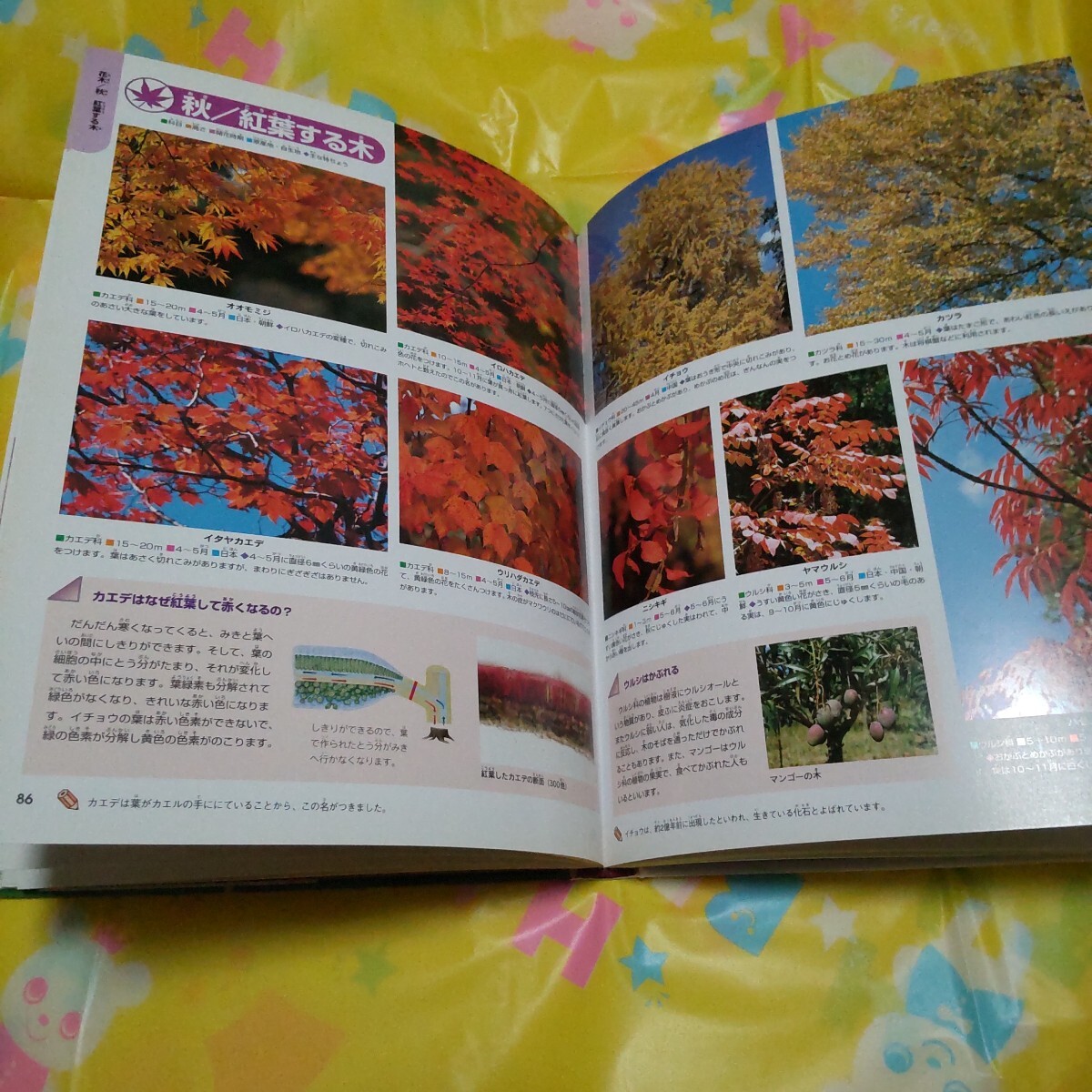 item_image_6
