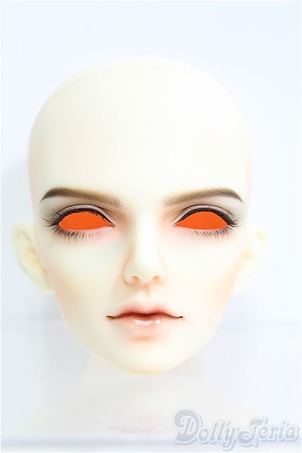 LUTS/Super Senior Delf ECLIPSE HEAD I-24-11-24-1092-KN-ZI LUTS/Super Senior Delf ECLIPSE HEAD I-24-11-24-1092-KN-ZI