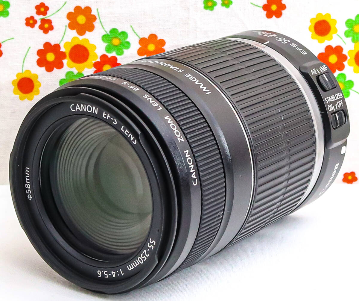 キャノン Canon EF-S 55-250mm IS☆お手軽望遠レンズ♪ キャノン Canon EF-S 55-250mm IS☆お手軽望遠レンズ♪