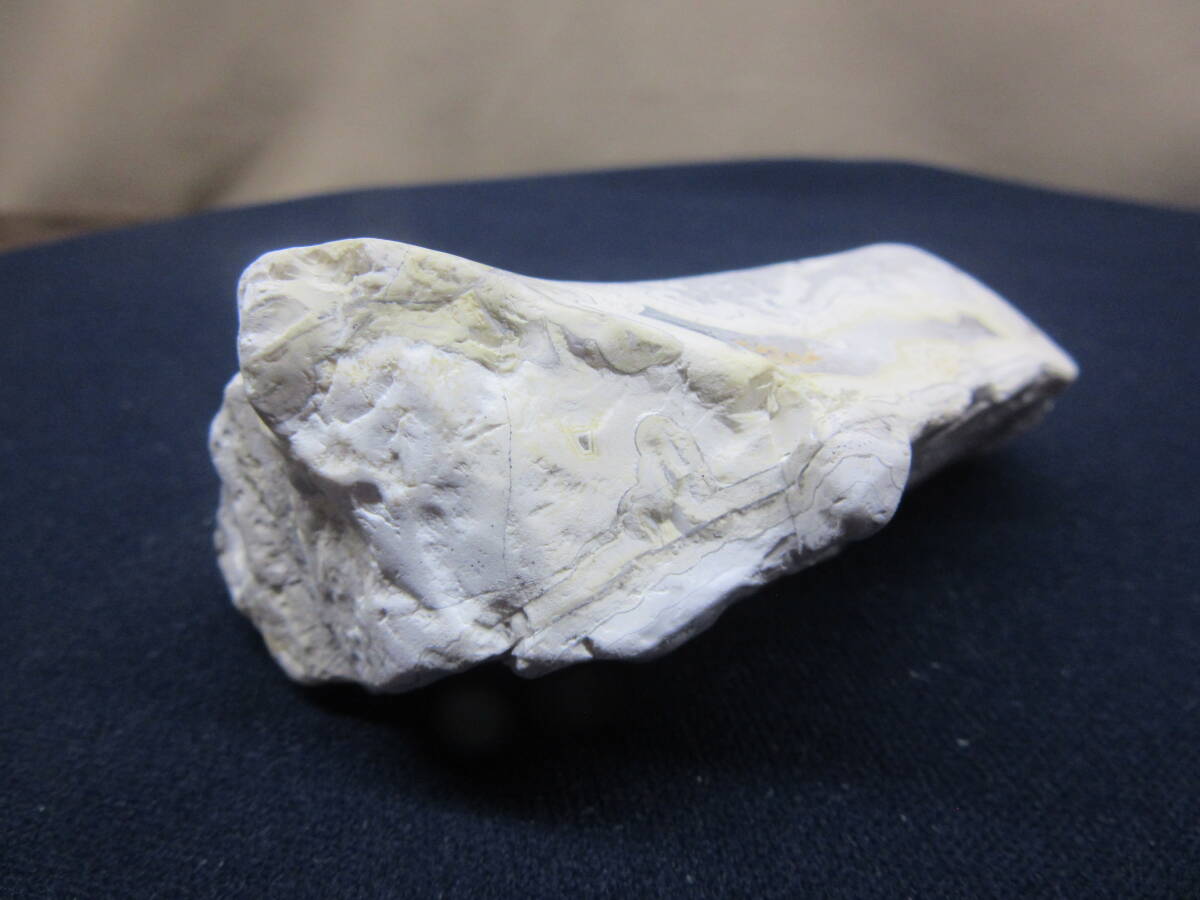 宝5 レースメノー石 アゲート 鉱物 観賞石 71 原石_画像7