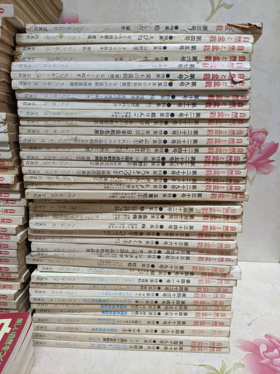 11◎○/美しい自然をつくる月刊誌 自然と盆栽 第3号から第150号 11◎○/美しい自然をつくる月刊誌 自然と盆栽 第3号から第150号
