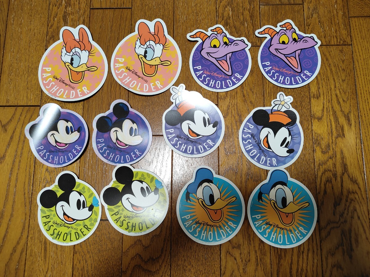 アメリカ WaltDineyWorld パスホルダー マグネット ディズニー