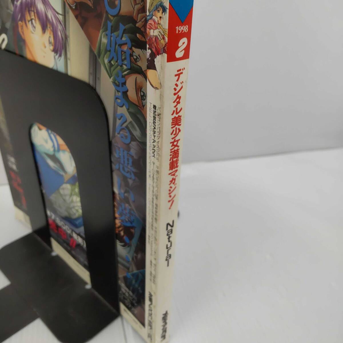 パソコンパラダイス 1998年2月 No.69 クレイジーナックルⅡ　Dividead　natural　She’sn　眠れぬ夜に…　241128