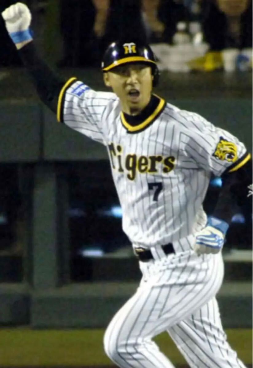 送料無料 即決 阪神タイガース 今岡誠選手ユニフォーム 1979 送料無料 即決 阪神タイガース 今岡誠選手ユニフォーム 1979