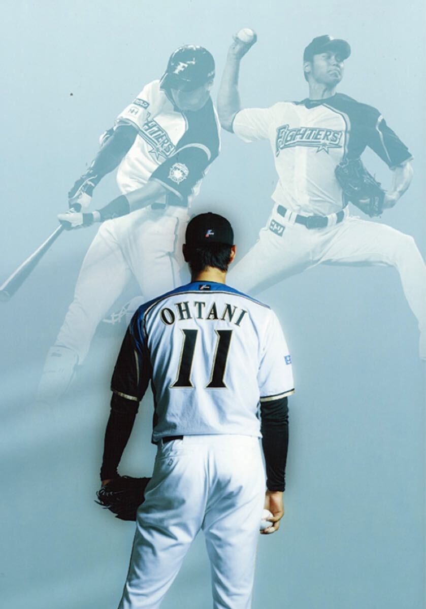 Amazon.co.jp: 大谷翔平 北海道日本ハムファイターズ 公式 Amazon.co.jp: 大谷翔平 北海道日本ハムファイターズ 公式