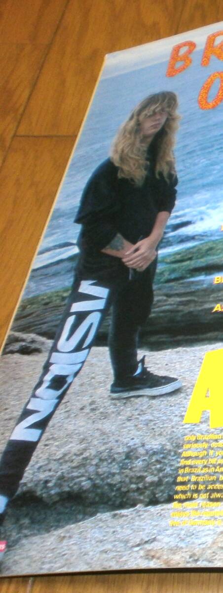 VISION STREET WEAR スウェット スケーターパンツ THRASHER VISION STREET WEAR スウェット スケーターパンツ THRASHER