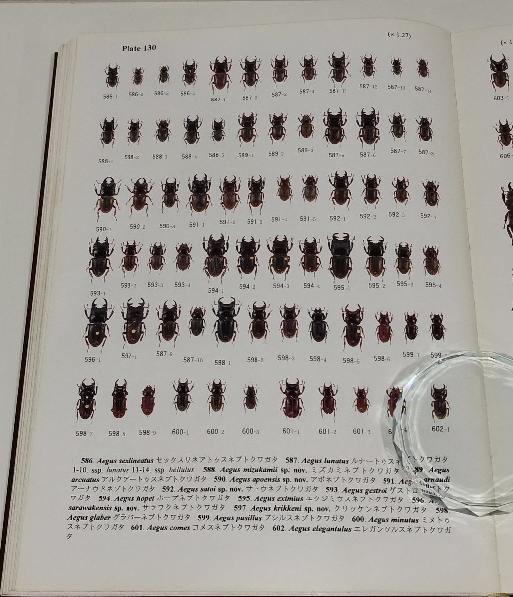 月刊むし・昆虫大図鑑シリーズ1 世界のクワガタムシ大図鑑 水沼 月刊むし・昆虫大図鑑シリーズ1 世界のクワガタムシ大図鑑 水沼