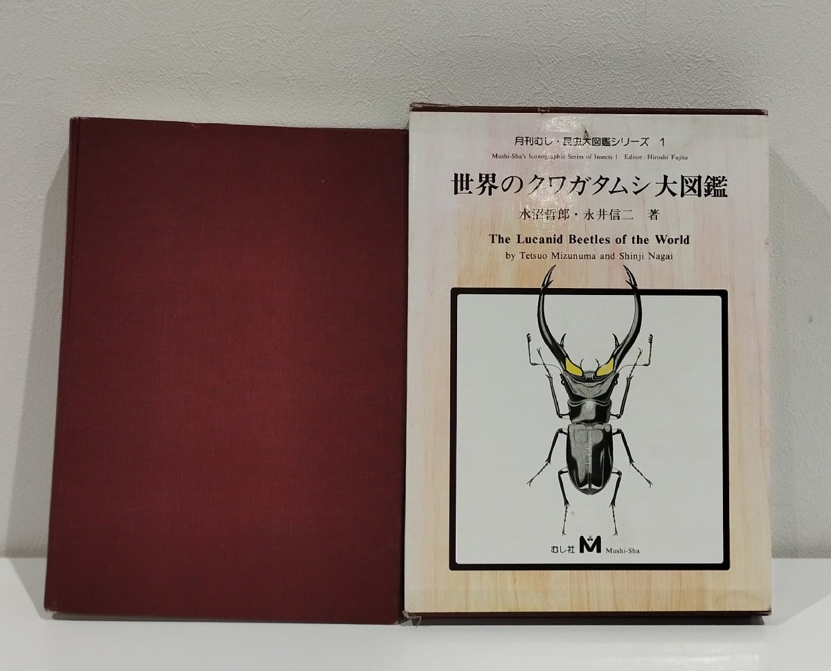 AUDIO BASIC オーディオ ベーシック FM(FAN)別冊/1994~2012 AUDIO BASIC オーディオ ベーシック FM(FAN)別冊/1994~2012