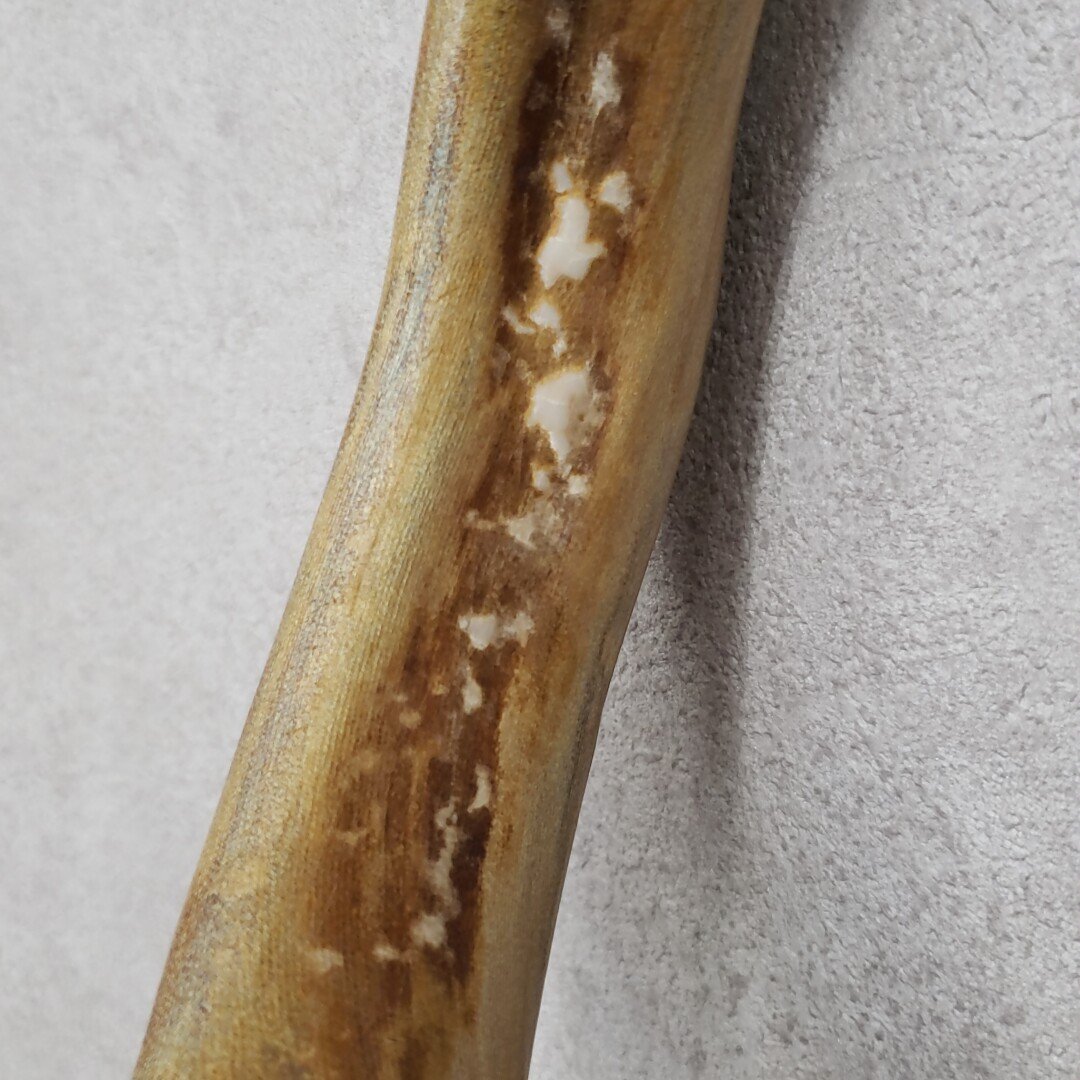 流木 深海海松? 全長98cm ゴーストウッド?ミッドセンチュリー 流木 深海海松? 全長98cm ゴーストウッド?ミッドセンチュリー