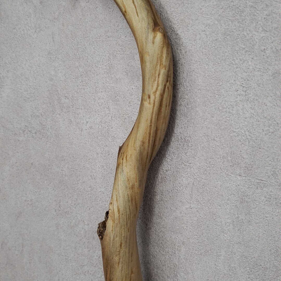 流木 深海海松? 全長98cm ゴーストウッド?ミッドセンチュリー 流木 深海海松? 全長98cm ゴーストウッド?ミッドセンチュリー