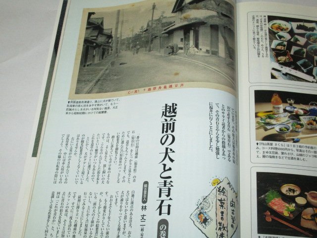 サライ 1998 体験の宿 宿坊 / 古酒復活 大正期のビールの美人ポスター(板祐生)/ 越前の犬と青石 ジャック・モイヤー スカイライン25GT ほか_画像7