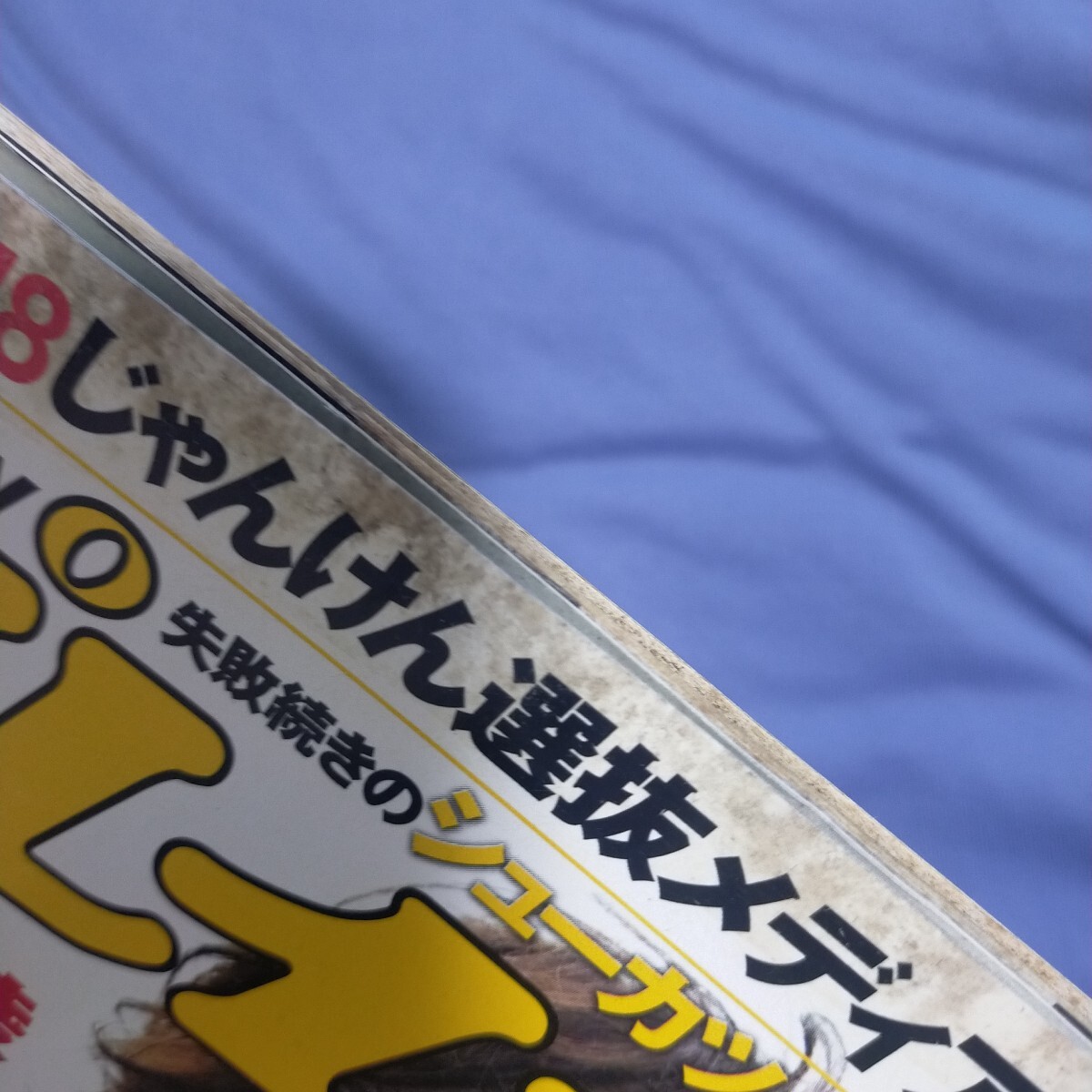 送料無料即決！週刊プレイボーイ2010年12月20日号平野綾AKB48佐藤寛子森崎友紀希崎ジェシカ海物語アグネス・ラム