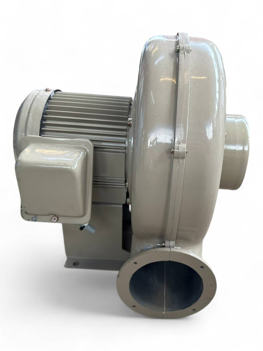 SHOWA DENKI 電動ブロワー EC-100T-122-L313 0.4kW 2P