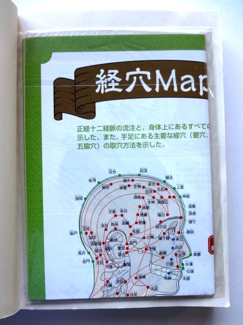 オールカラー版 基本としくみがよくわかる 東洋醫(yī)學(xué)の教科書 「経穴MAP&生薬図鑑」のポスター 付　ナツメ社 / 送料360円