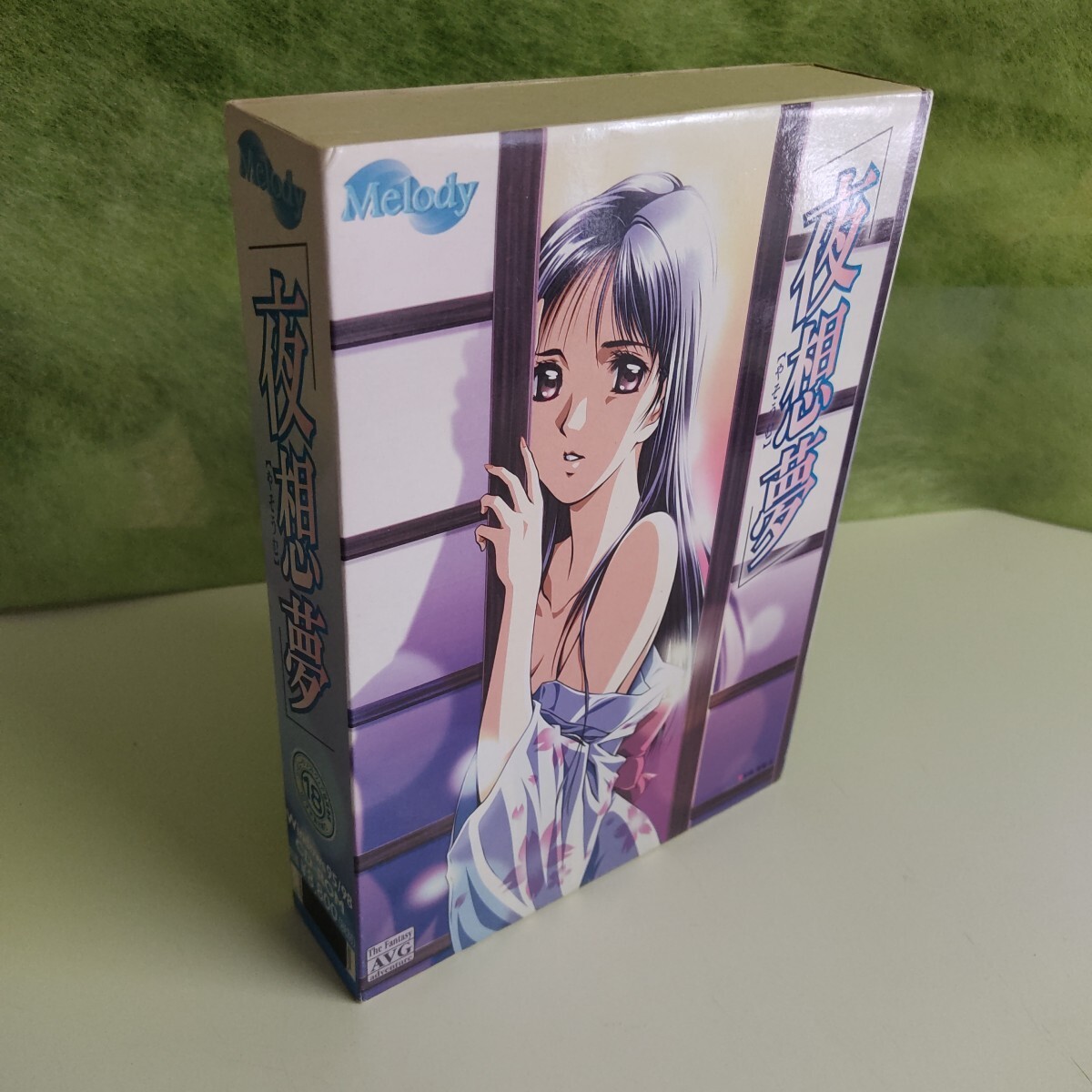 R18 PCゲーム 夜想夢(mèng) Windows95/98