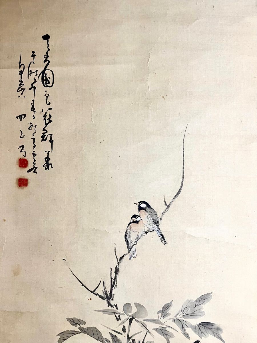 真作】【S8】松平直興 四山「牡丹小禽図」絹本 肉筆 花鳥図 鳥獣 真作】【S8】松平直興 四山「牡丹小禽図」絹本 肉筆 花鳥図 鳥獣