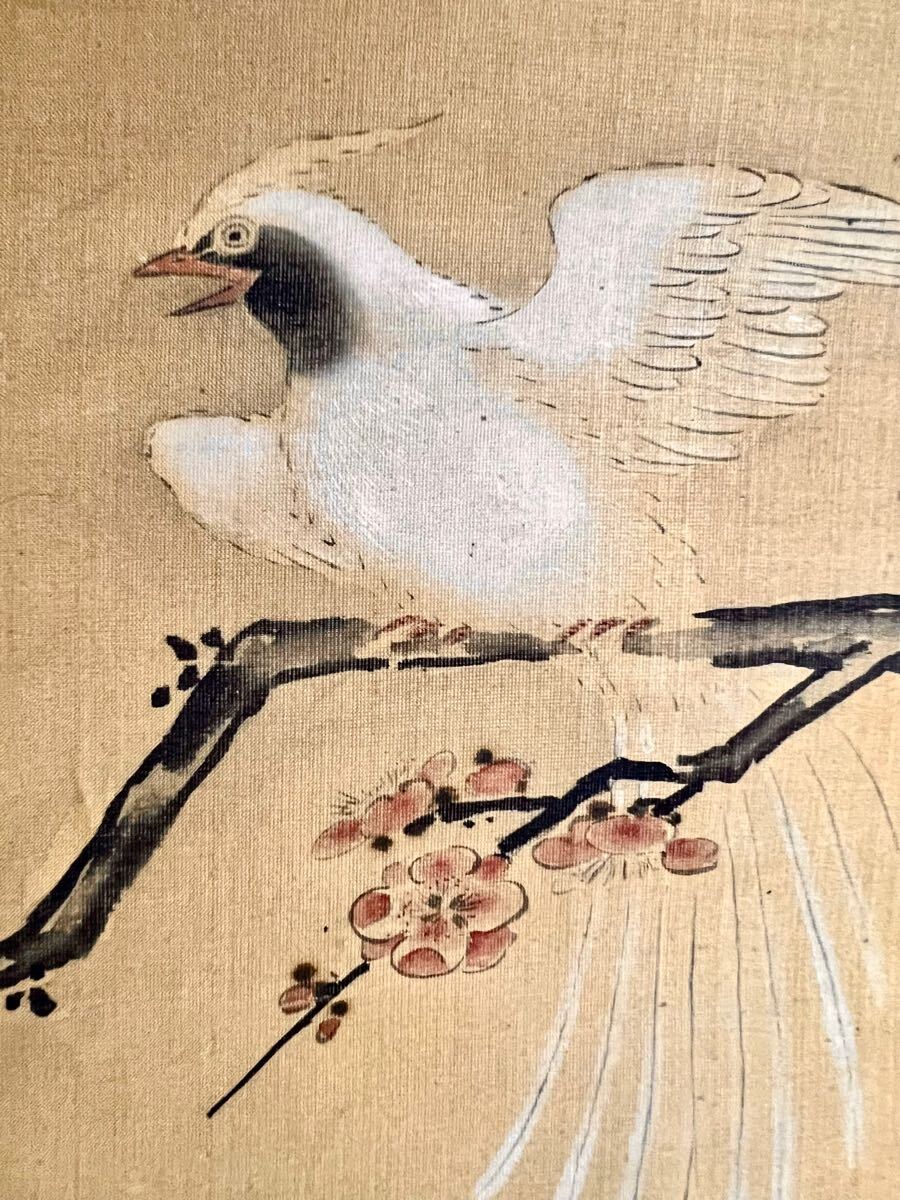 狩野方信「堅物」掛軸 絹本:花鳥画|絵画 - 絵画 狩野方信「堅物」掛軸 絹本:花鳥画|絵画 - 絵画