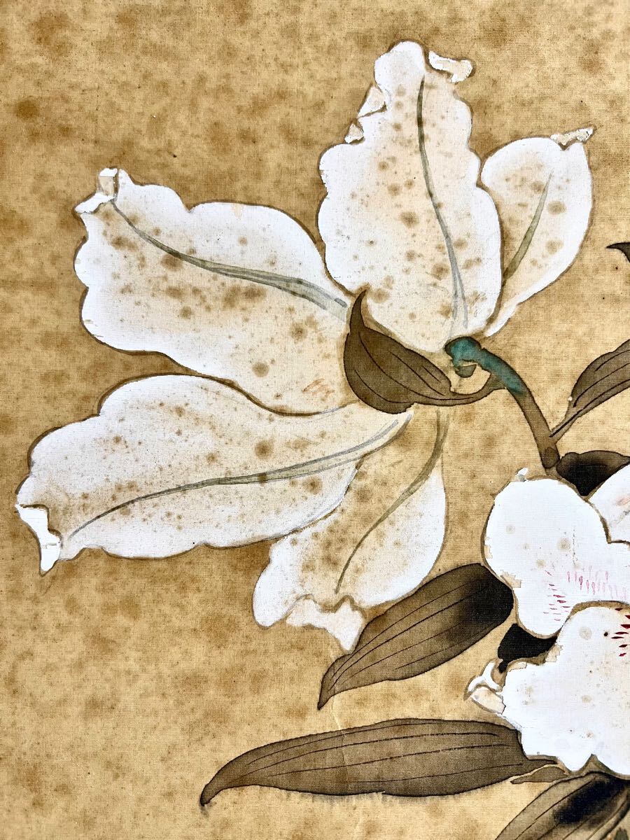 真作】【S8】森山香浦「百合に蝶々」絹本 肉筆 花鳥図 絵画 掛軸 真作】【S8】森山香浦「百合に蝶々」絹本 肉筆 花鳥図 絵画 掛軸