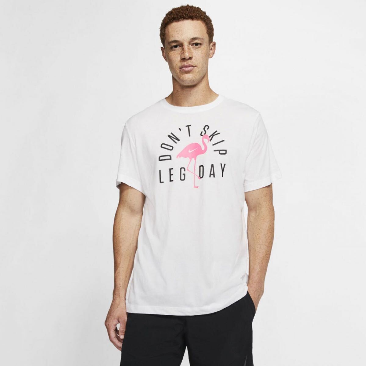 NIKE ナイキ　men's メンズ トップス　半袖　tシャツ DRI-FIT DFCT シーズナル スポーツ　ウェア　カジュアル　size:L collar:ホワイト