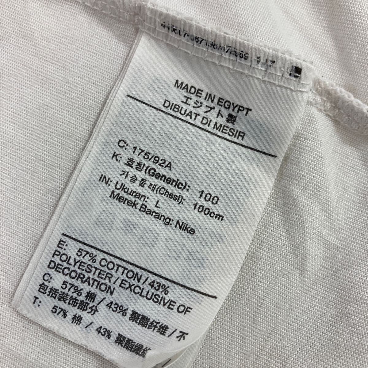 NIKE ナイキ　men's メンズ トップス　半袖　tシャツ DRI-FIT DFCT シーズナル スポーツ　ウェア　カジュアル　size:L collar:ホワイト