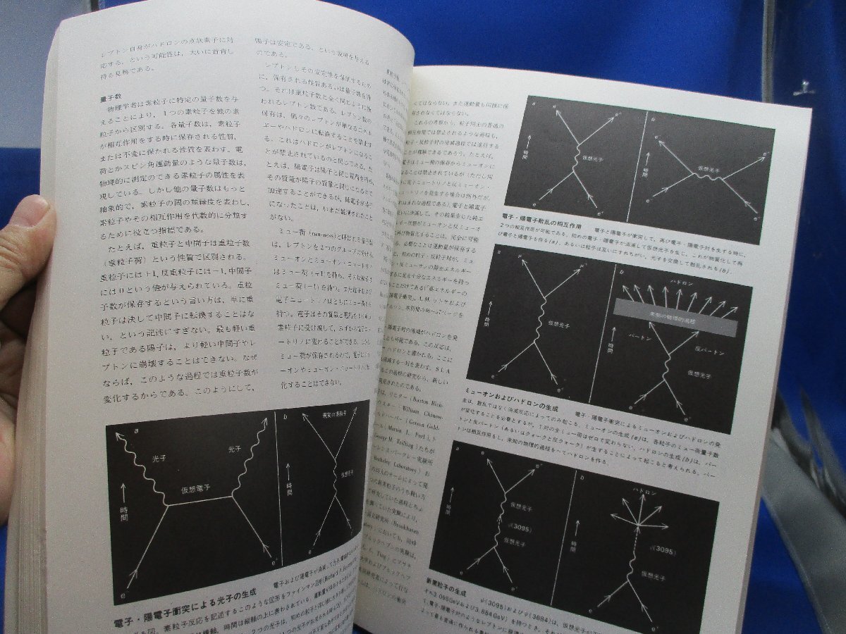 即決 レア 別冊サイエンス 特集 高エネルギー物理 素粒子の世界