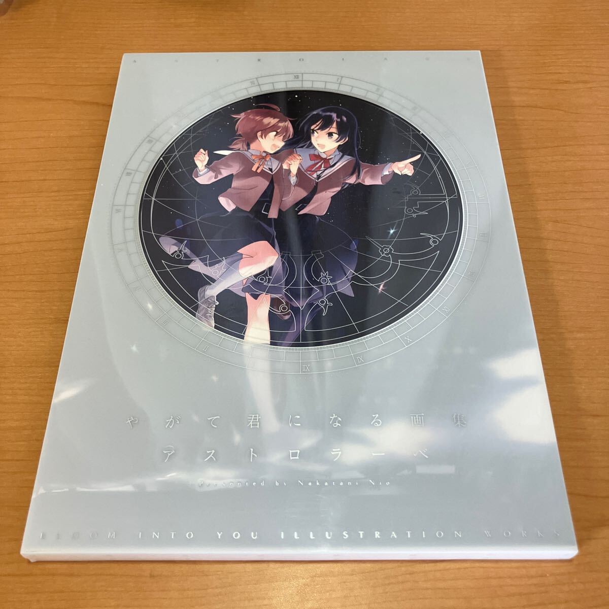アストロラーベ　やがて君になる画集 仲谷鳰／著