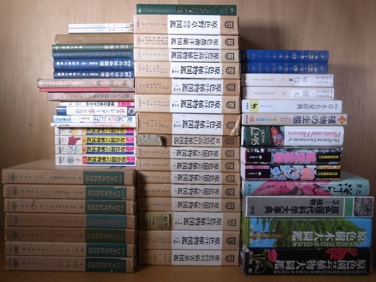 item_image_10