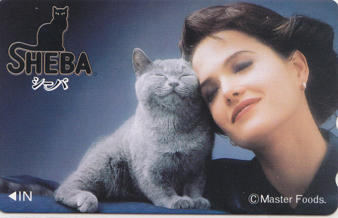SHEBA| кошка кошка [ телефонная карточка ] S.11.19 * стоимость доставки самый дешевый 75 иен ~
