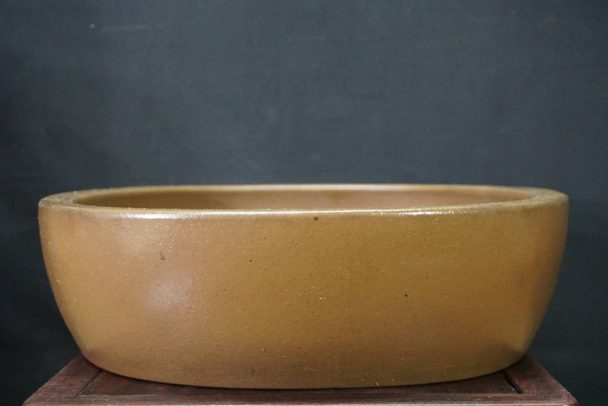 盆栽鉢　時代落款楕円縁入り盆栽鉢40.5x30.5x5cm支那鉢　和鉢 楽天市場】送料無料【盆栽鉢】 時代鉢 和泉窯作 手造 龍浮彫 朱