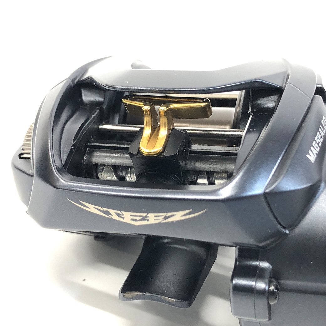 ドルステニアギガス確認用 K ダイワ 23 スティーズ A II TW 1000HL レフト ベイトリール