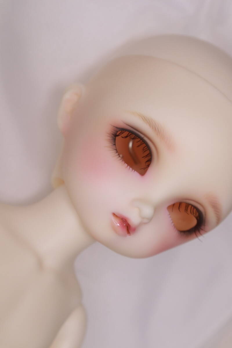 ボークス SD13 橘純 ドルパ12 東京少年物語 フルセット 100名 ボークス SD13 橘純 ドルパ12 東京少年物語 フルセット 100名