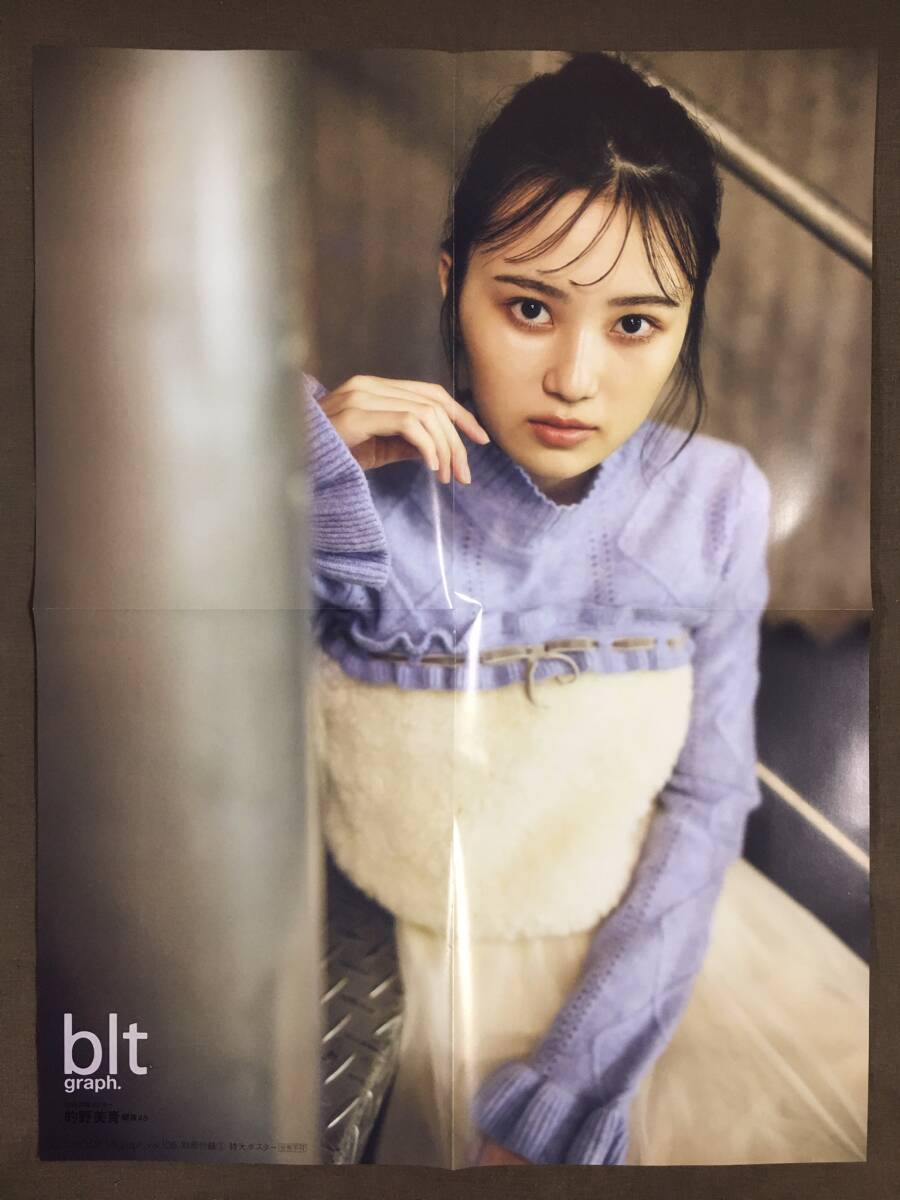的野美青ポスター2枚セット blt graph.2024年 vol.106號別冊付録 縦56㎝×橫42㎝サイズ