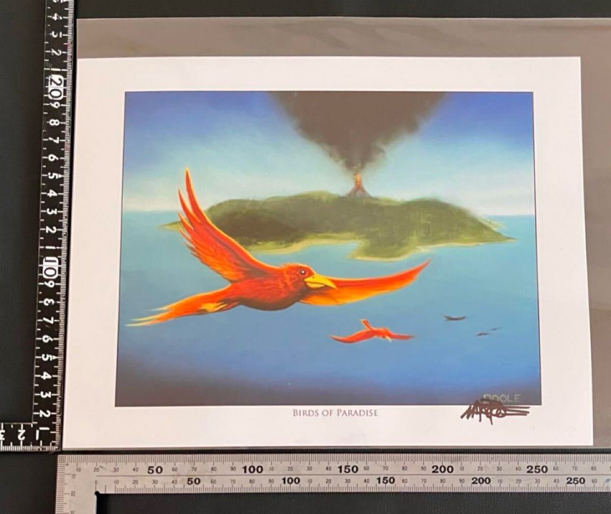 Mark Poole氏直筆サイン入りアートプリント 複製原画 極楽鳥 MTG Mark Poole氏直筆サイン入りアートプリント 複製原画 極楽鳥 MTG