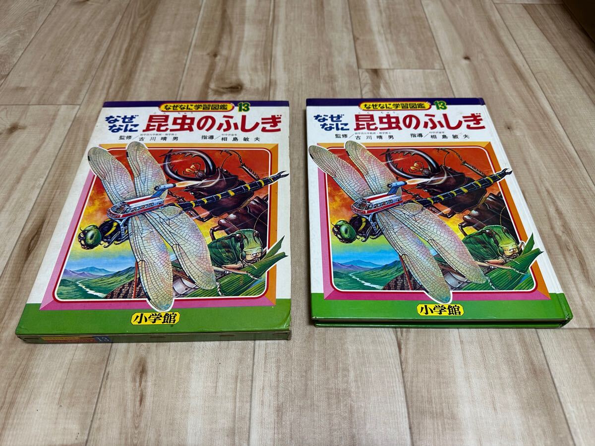 小学館 なぜなに学習図鑑１３/なぜなに 昆虫のふしぎ 昭和４７年１月２５日 初版発行