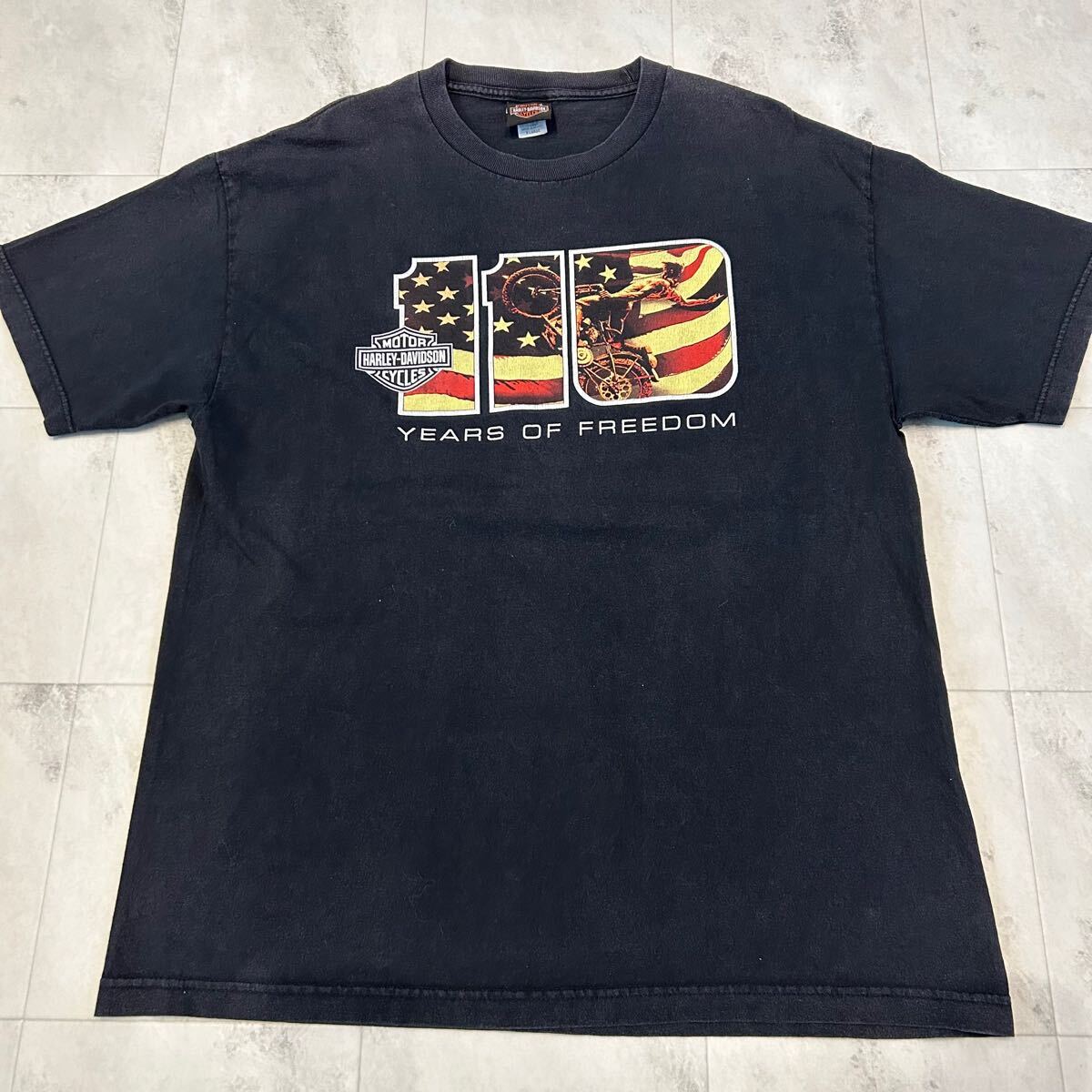 HARLEY-DAVIDSON MOTOR CYCLES ハーレーダビッドソン 110 YEARS OF FREEDOM MILWAUKEE WISCONSIN 110周年 両面 プリント 半袖Tシャツ